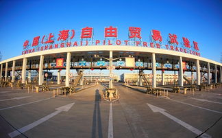 上海自貿區 四年新設企業5.2萬家 這里是種苗圃不是栽盆景